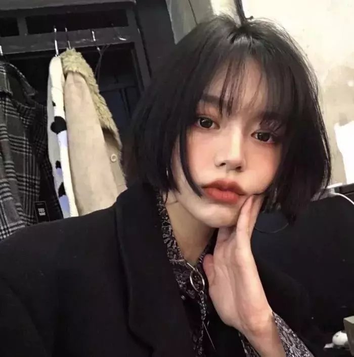 真情玫瑰